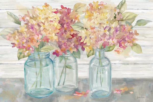 Cynthia Coulter: Farmhouse Hydrangeas in Mason Jars Spice by Cynthia Coulter