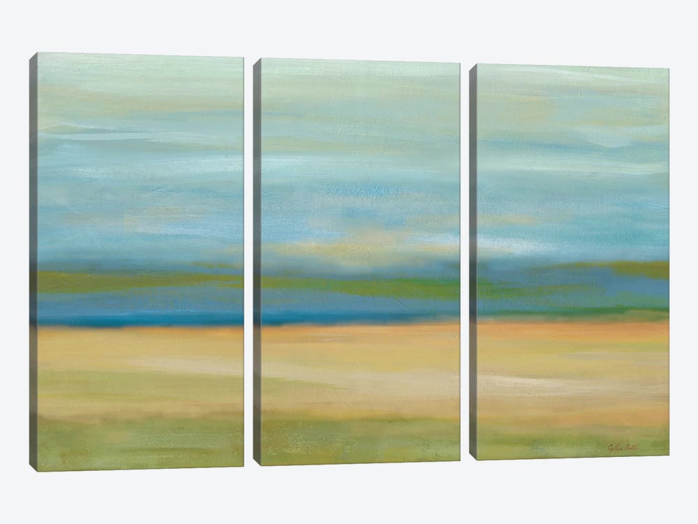 Horizon Field by Cynthia Coulter 3-piece Canvas Wall Art