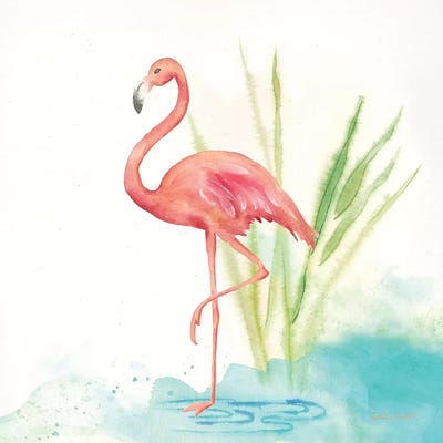 Pink Flamingos II by Cynthia Coulter framed canvas print