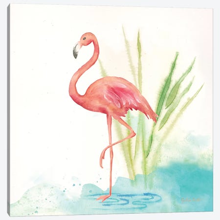 Pink Flamingos II Canvas Print #CYN238} by Cynthia Coulter Canvas Art