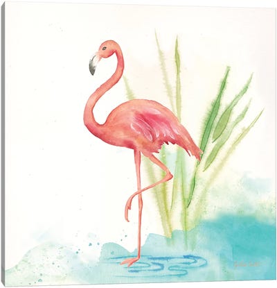 Pink Flamingos II Canvas Art Print - Flamingo Art