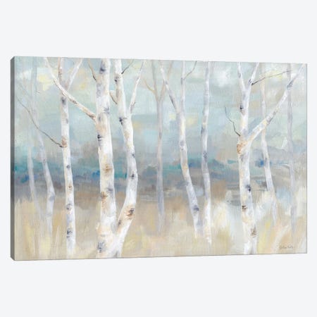 Birch Field landscape Canvas Print #CYN253} by Cynthia Coulter Canvas Artwork