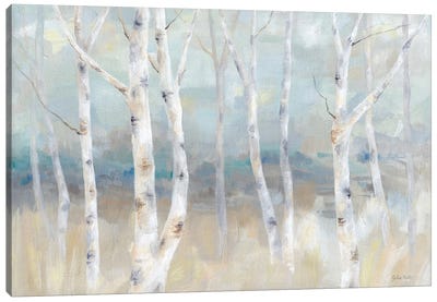 Birch Field landscape Canvas Art Print - Cynthia Coulter