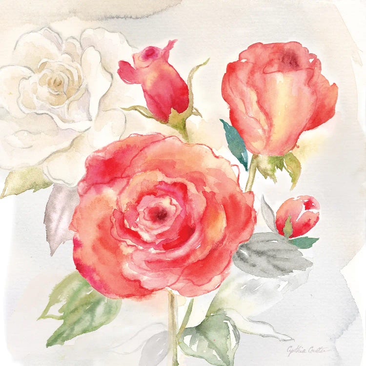 Garden Roses I