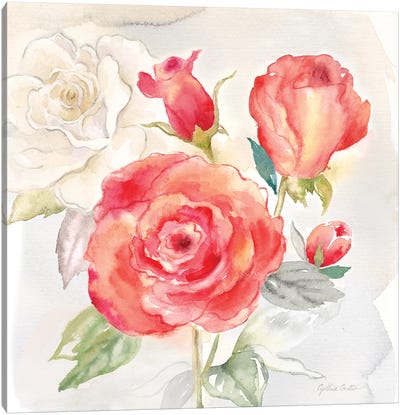 Garden Roses I Canvas Art Print - Cynthia Coulter