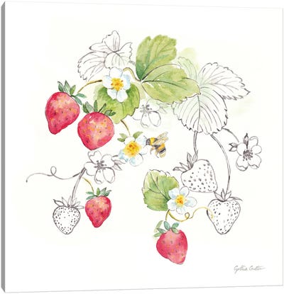 Berries And Bees II Canvas Art Print - Minimalist Kitchen Art