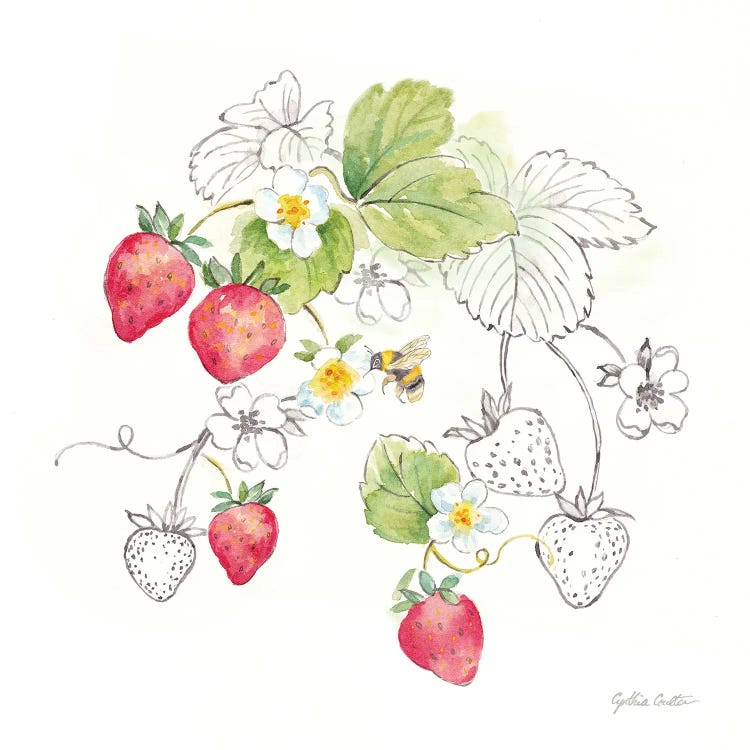 Berries And Bees II