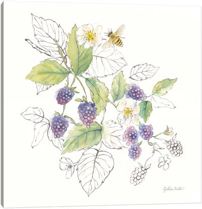 Berries And Bees III Canvas Art Print - Minimalist Kitchen Art