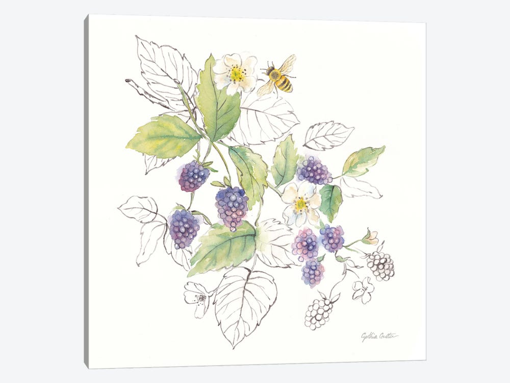 Berries And Bees III by Cynthia Coulter 1-piece Art Print