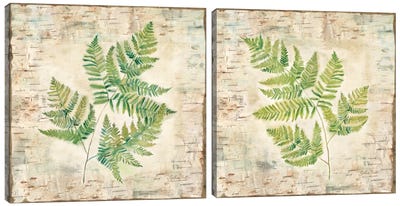 Birch Bark Ferns Diptych Canvas Art Print - Art Sets | Triptych & Diptych Wall Art
