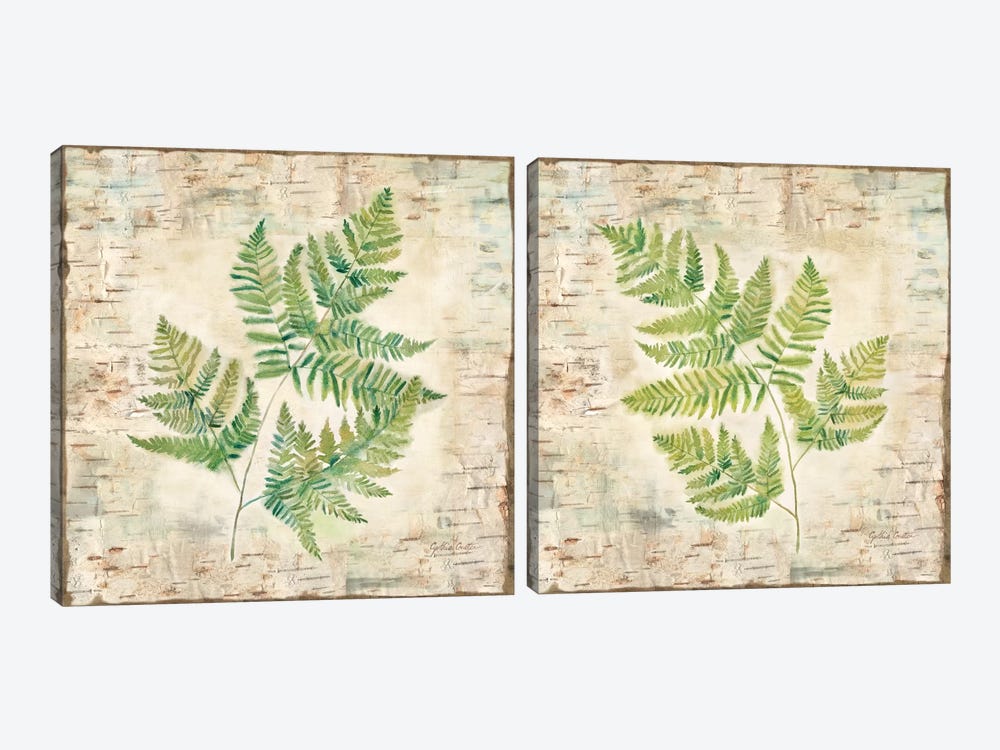 Birch Bark Ferns Diptych 2-piece Canvas Art Print
