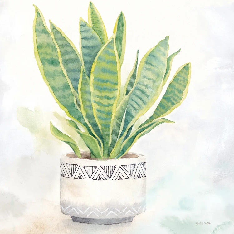 Houseplant IV Snake Plant by Cynthia Coulter wall art