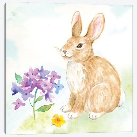 Hello Easter I Canvas Print #CYN307} by Cynthia Coulter Art Print