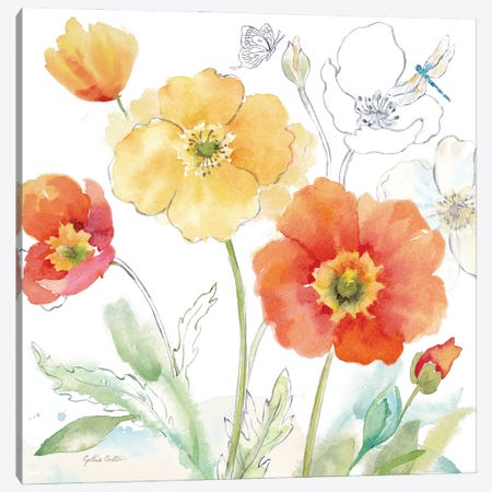Happy Poppies IV Canvas Print #CYN327} by Cynthia Coulter Art Print