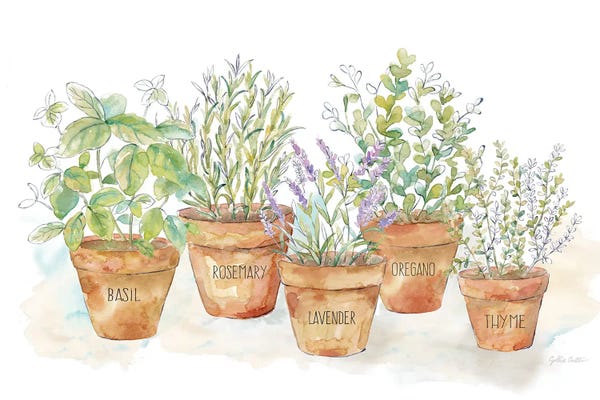 Herbs: Let it Grow I clean by Cynthia Coulter