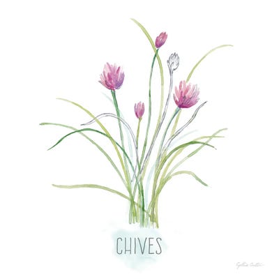 Let it Grow XIII by Cynthia Coulter canvas print