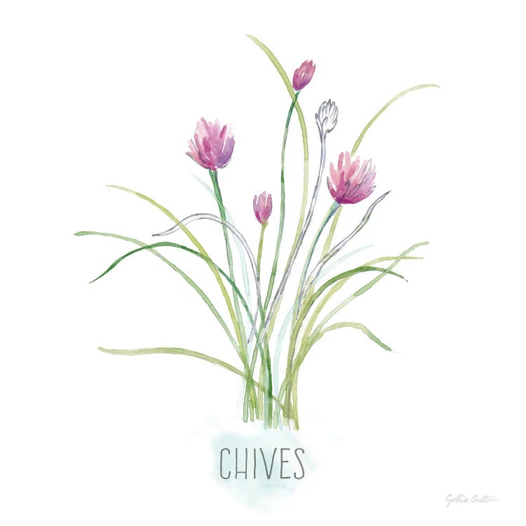 Let it Grow XIII by Cynthia Coulter wall art