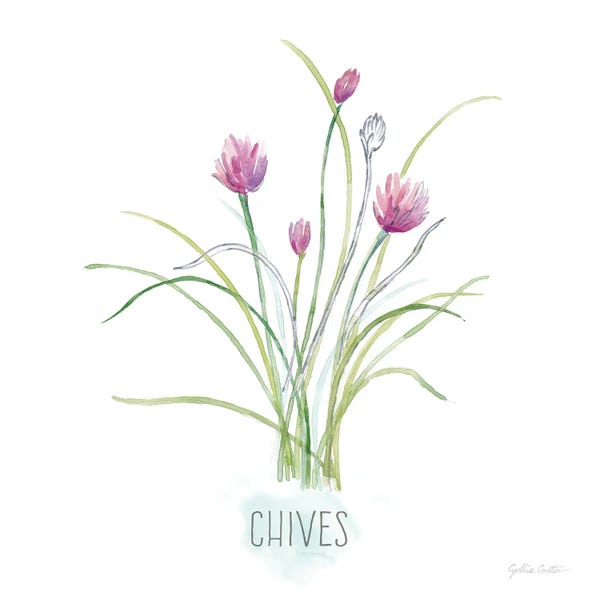 Gardening: Let it Grow XIII by Cynthia Coulter