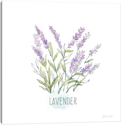 Let it Grow XIV Canvas Art Print - Lavender Art