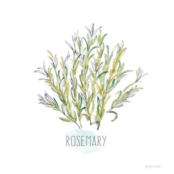 Gardening: Let it Grow XVI by Cynthia Coulter