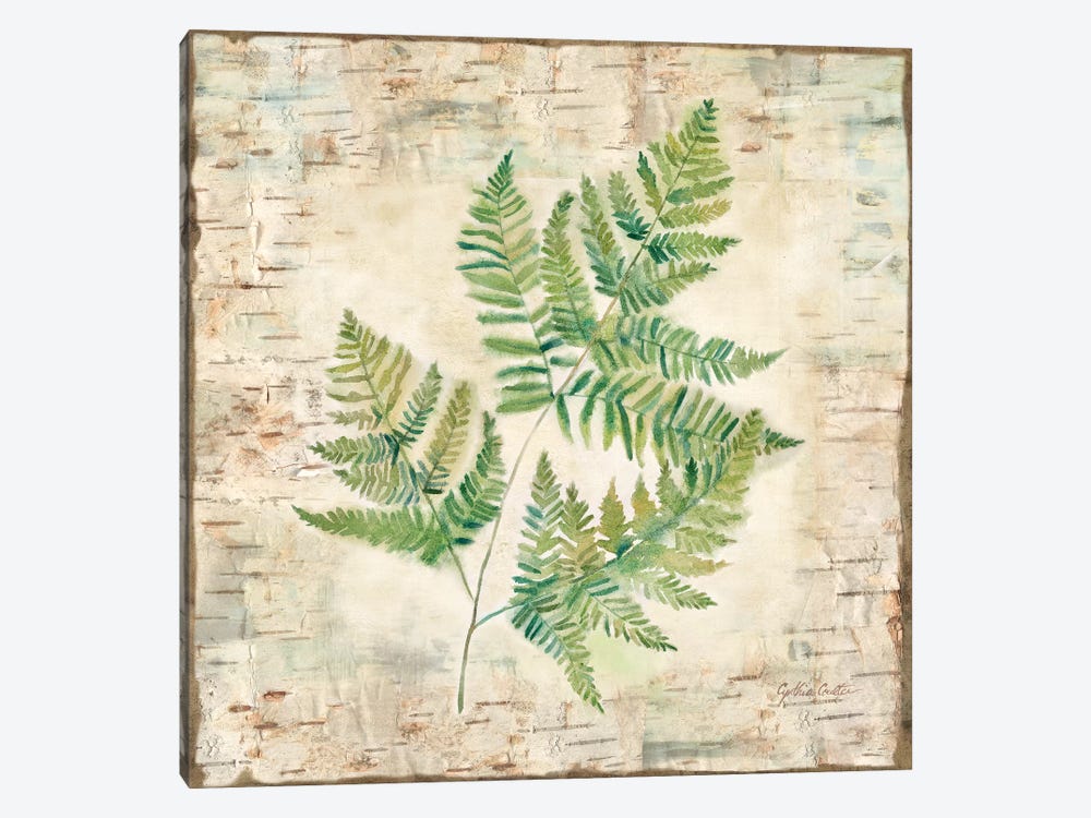 Birch Bark Ferns I by Cynthia Coulter 1-piece Canvas Print