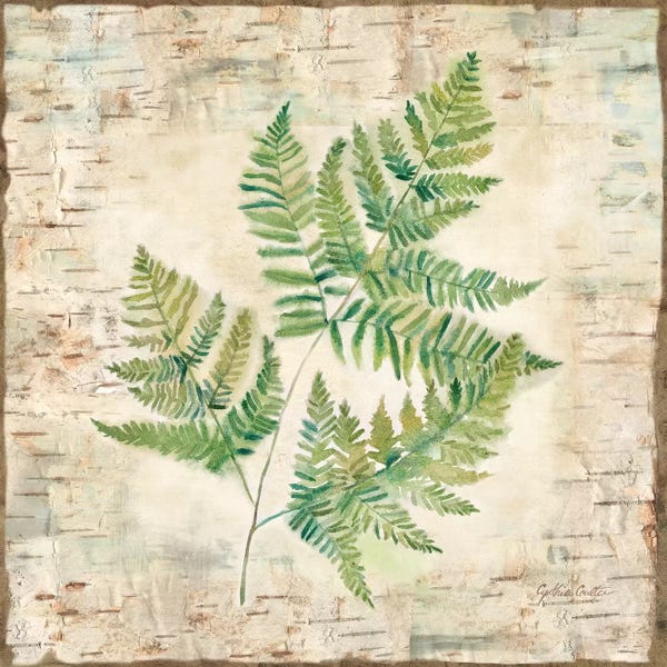 Roaring Brook Art: Birch Bark Ferns I by Cynthia Coulter