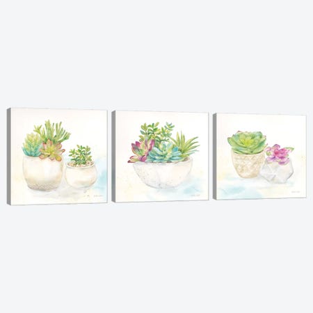 Sweet Succulent Pots Triptych Canvas Print Set #CYN3HSET002} by Cynthia Coulter Canvas Wall Art