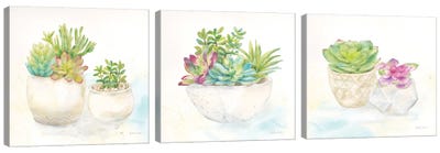 Sweet Succulent Pots Triptych Canvas Art Print - Art Sets | Triptych & Diptych Wall Art