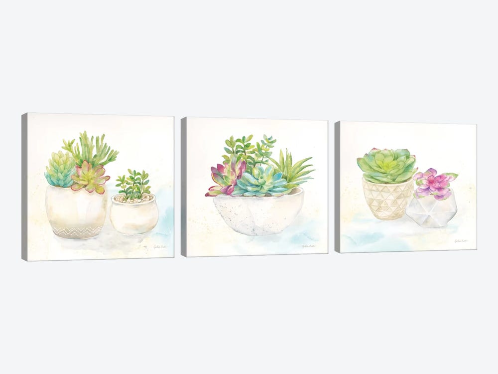 Sweet Succulent Pots Triptych by Cynthia Coulter 3-piece Art Print