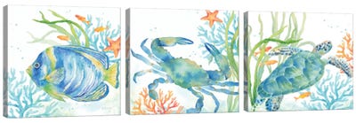 Sea Life Serenade Triptych Canvas Art Print - Crab Art