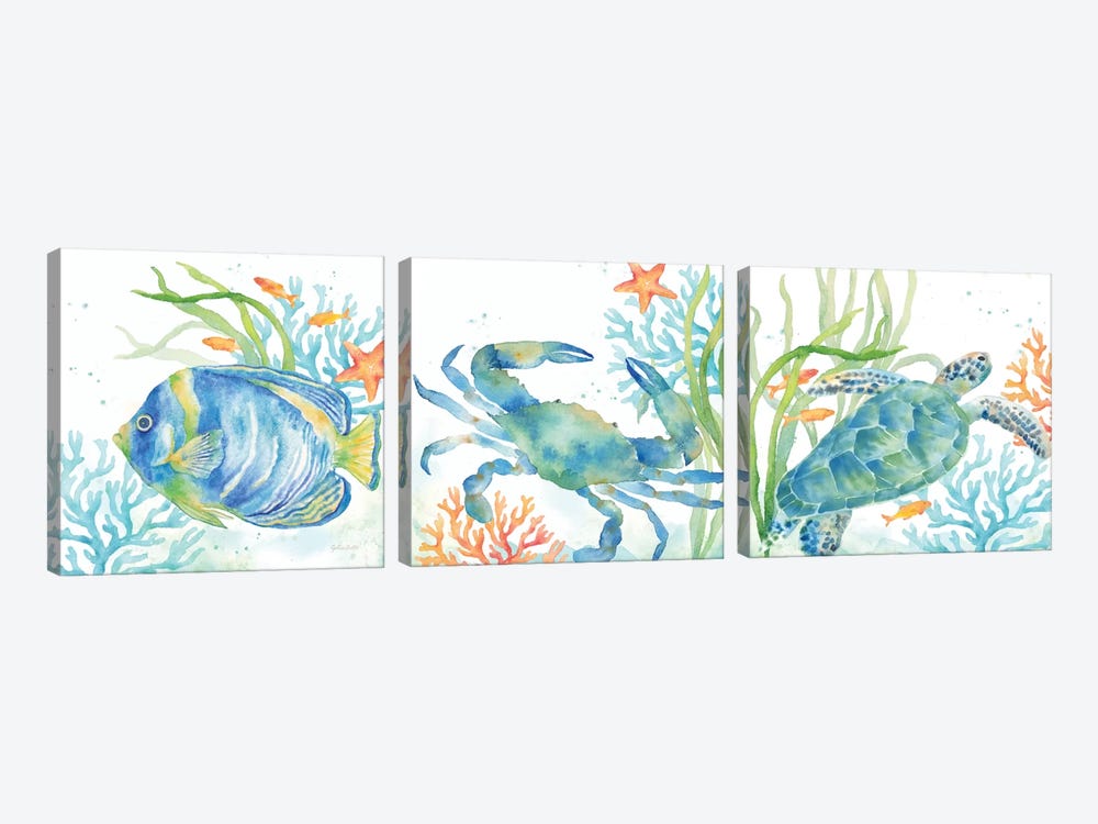 Sea Life Serenade Triptych by Cynthia Coulter 3-piece Canvas Art