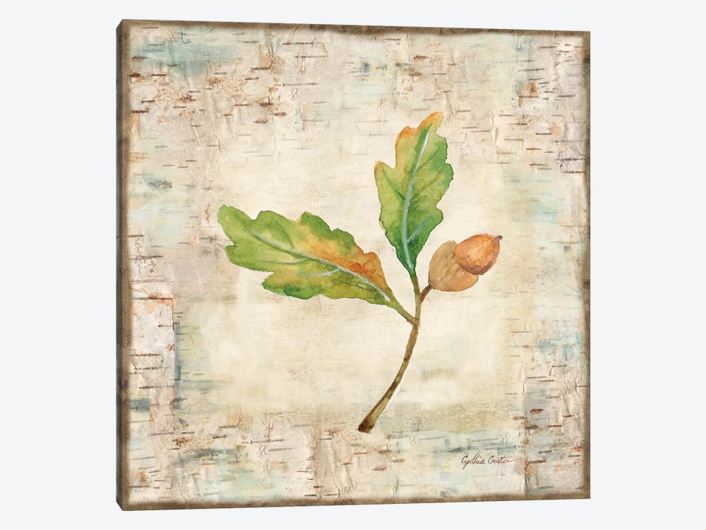 Nature Walk Leaves II by Cynthia Coulter 1-piece Canvas Art Print