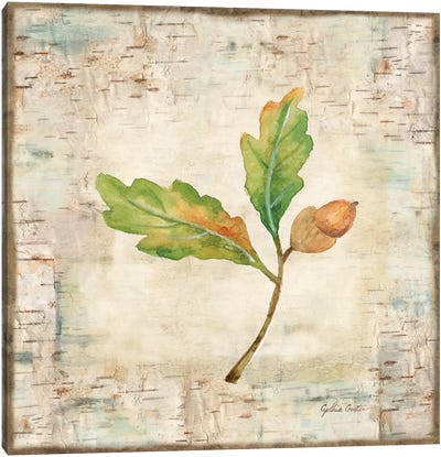 Nature Walk Leaves II Canvas Art Print - Cynthia Coulter