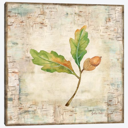 Nature Walk Leaves II Canvas Print #CYN48} by Cynthia Coulter Canvas Wall Art