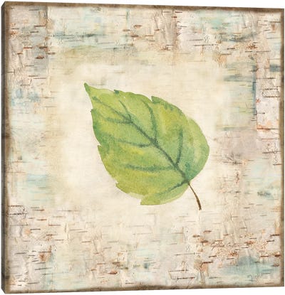 Nature Walk Leaves IV Canvas Art Print - Cynthia Coulter