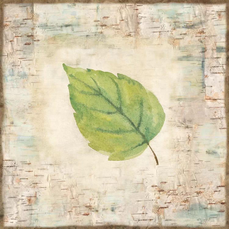 Nature Walk Leaves IV by Cynthia Coulter wall art
