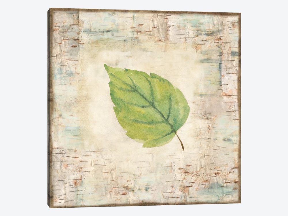 Nature Walk Leaves IV by Cynthia Coulter 1-piece Canvas Artwork