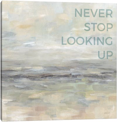 Never Stop Looking Up Canvas Art Print - Determination Art