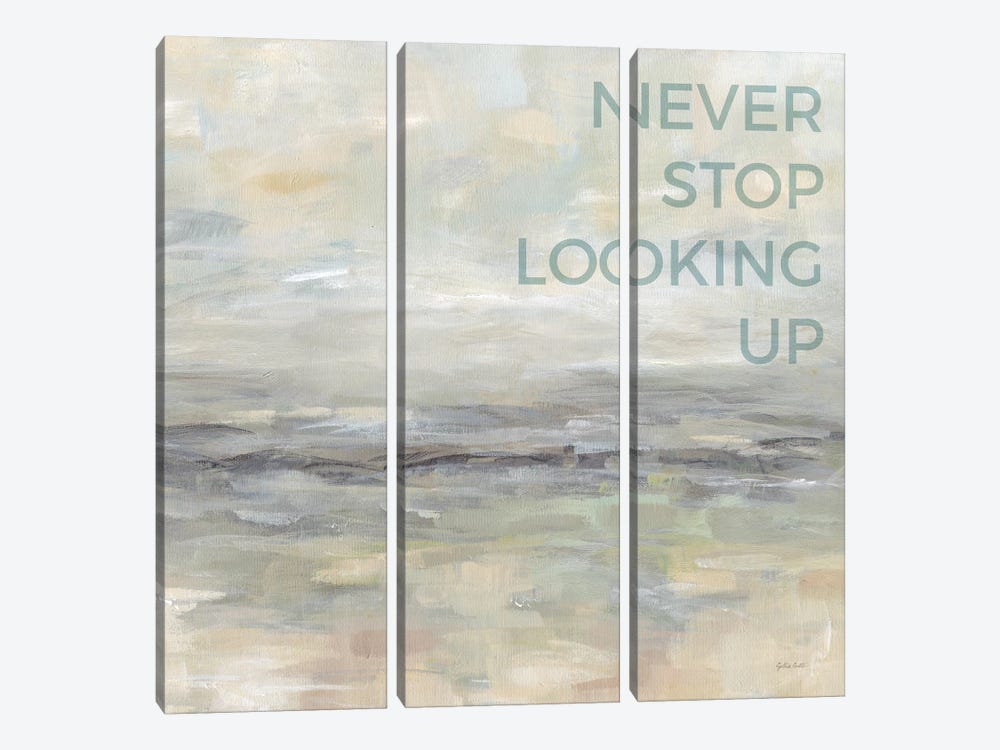 Never Stop Looking Up by Cynthia Coulter 3-piece Art Print