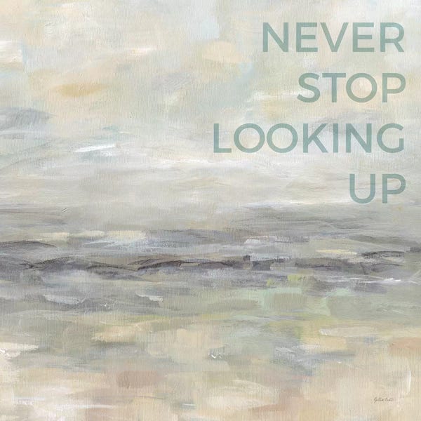 Determination: Never Stop Looking Up by Cynthia Coulter