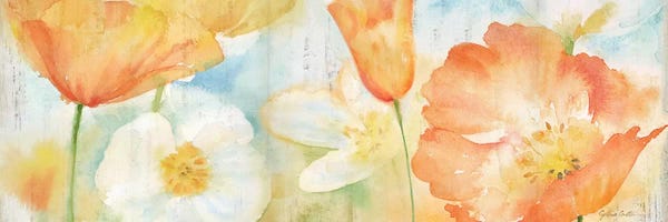 Poppies: Poppy Meadow Pastel Woodgrain Panel by Cynthia Coulter