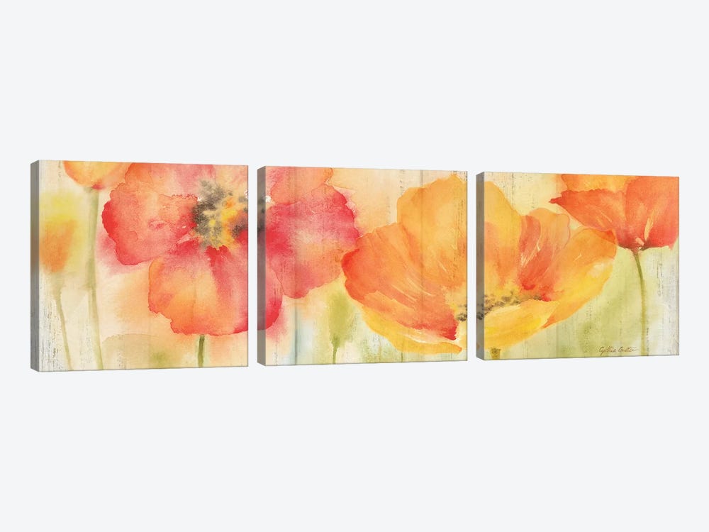 Poppy Meadow Spice Woodgrain Panel by Cynthia Coulter 3-piece Art Print