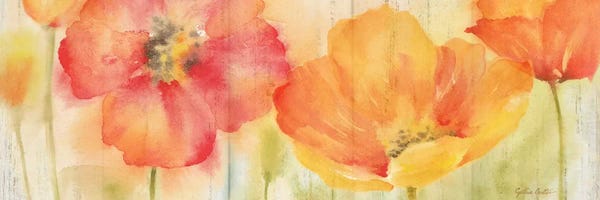 Poppies: Poppy Meadow Spice Woodgrain Panel by Cynthia Coulter