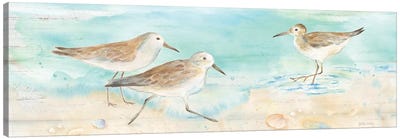 Sandpiper Beach Panel Canvas Art Print