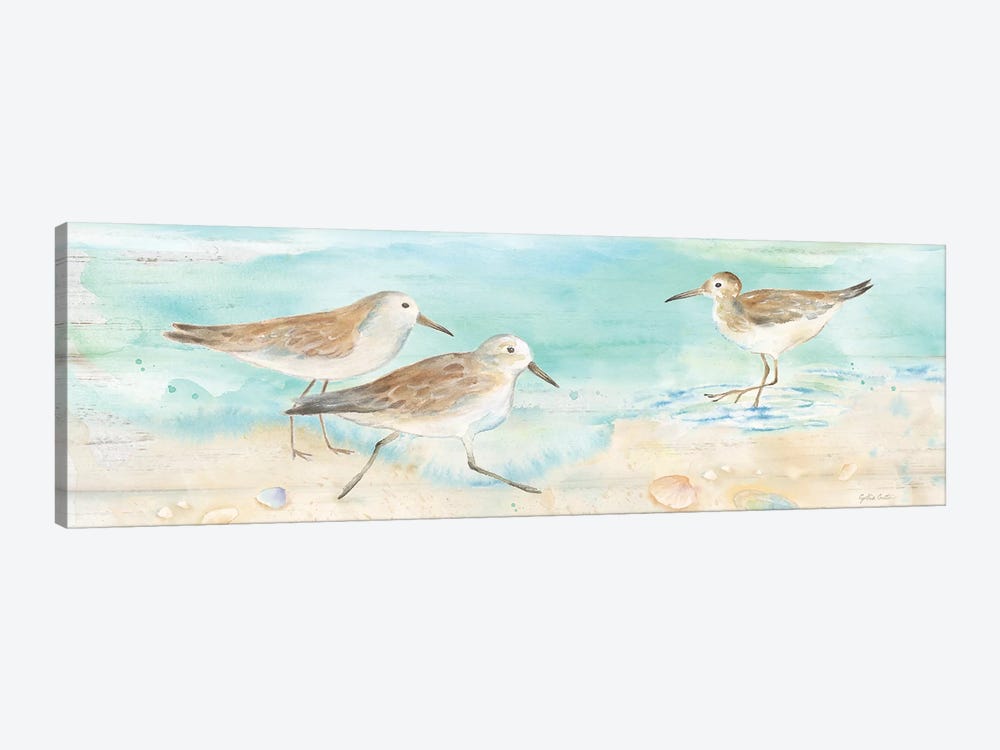 Sandpiper Beach Panel by Cynthia Coulter 1-piece Canvas Art