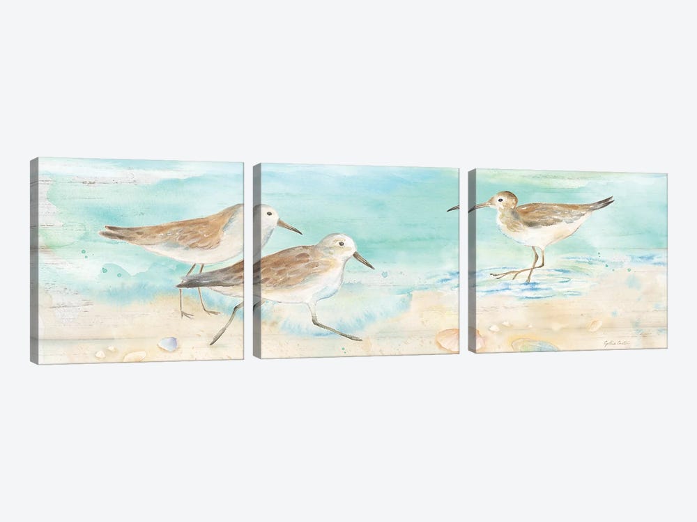 Sandpiper Beach Panel by Cynthia Coulter 3-piece Canvas Wall Art