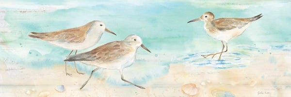 Roaring Brook Art: Sandpiper Beach Panel by Cynthia Coulter