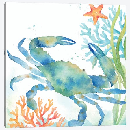 Sea Life Serenade II Canvas Print #CYN65} by Cynthia Coulter Canvas Art Print