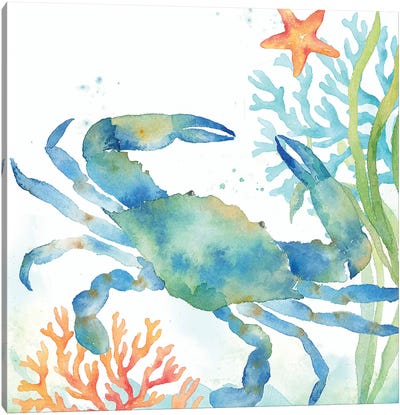 Sea Life Serenade II Canvas Art Print - Crab Art