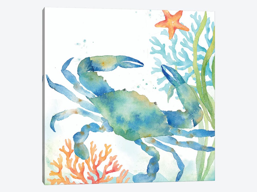 Sea Life Serenade II by Cynthia Coulter 1-piece Canvas Wall Art
